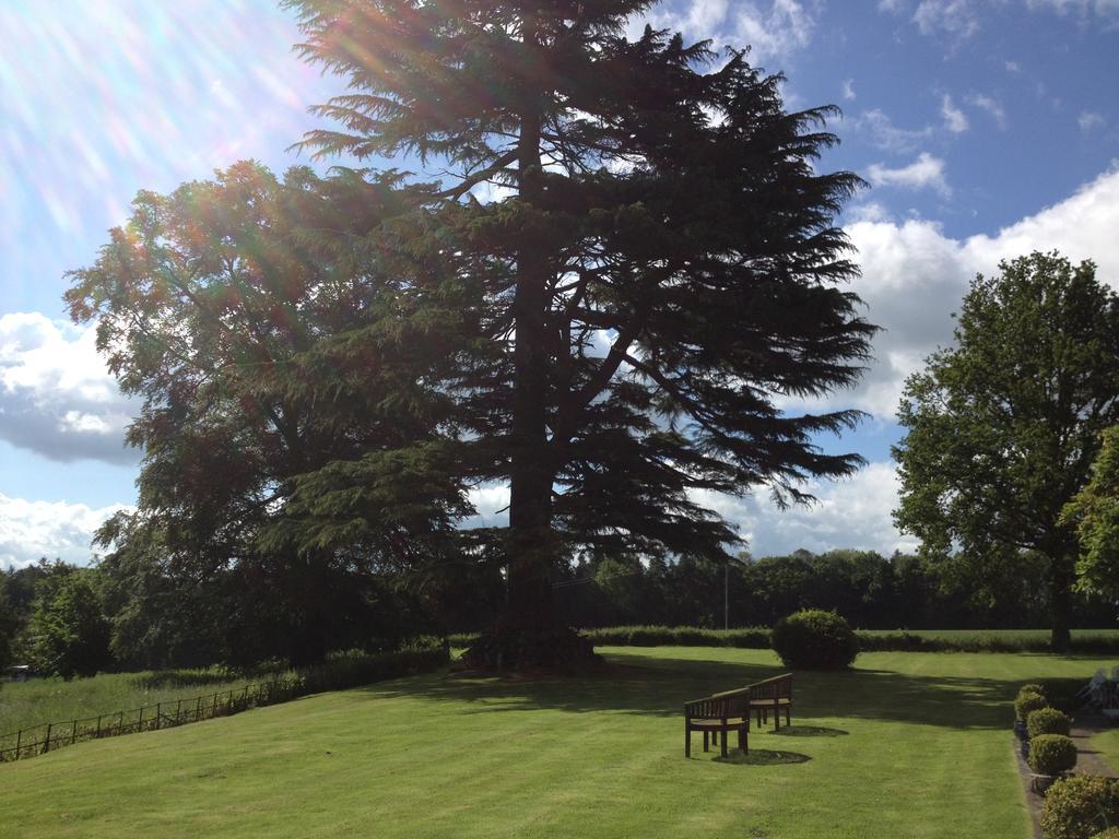Overton Grange Country Hotel ラドロー エクステリア 写真
